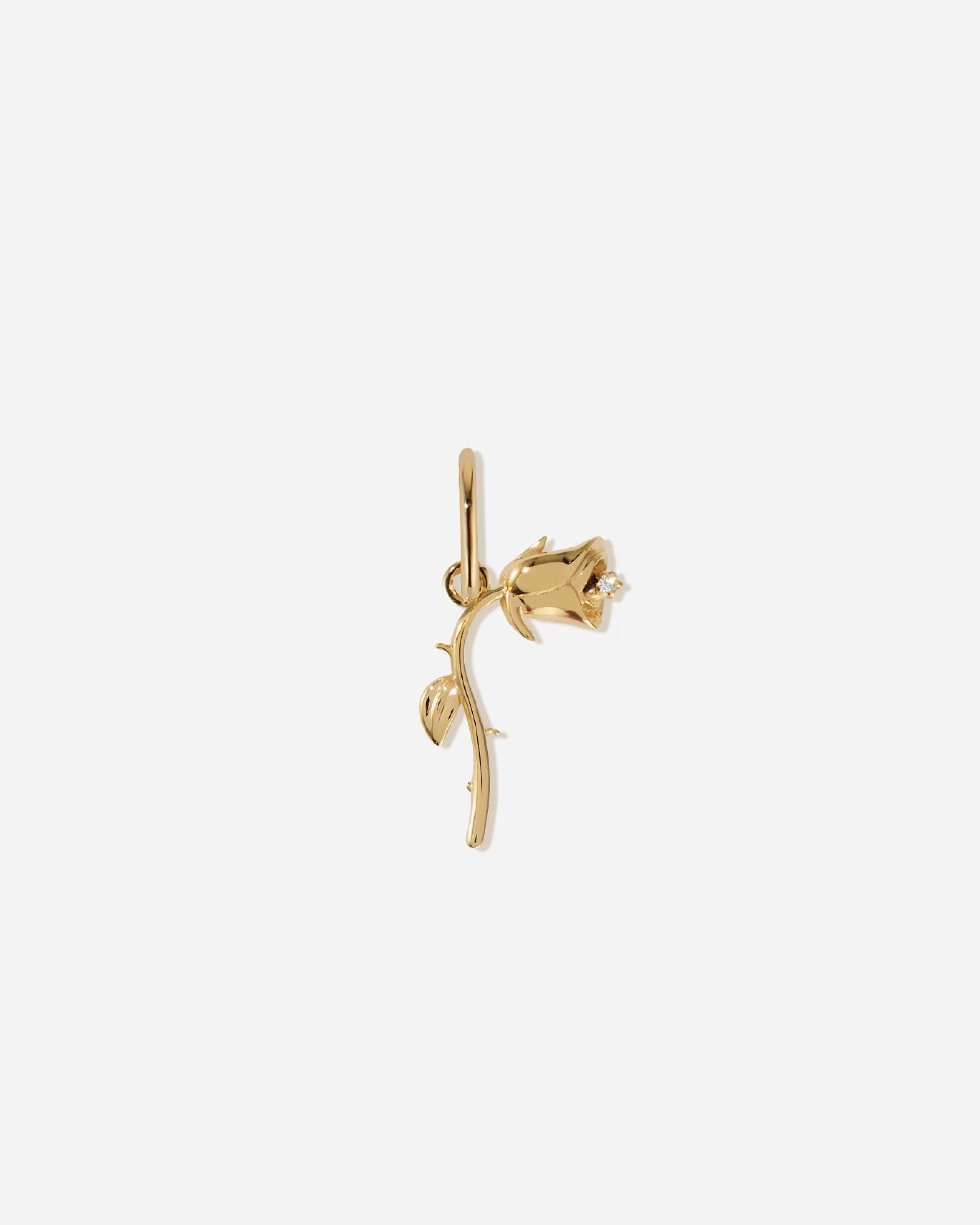 BRUNA The Label Kettenanhänger | Diamantanhänger^Poésie Charm
